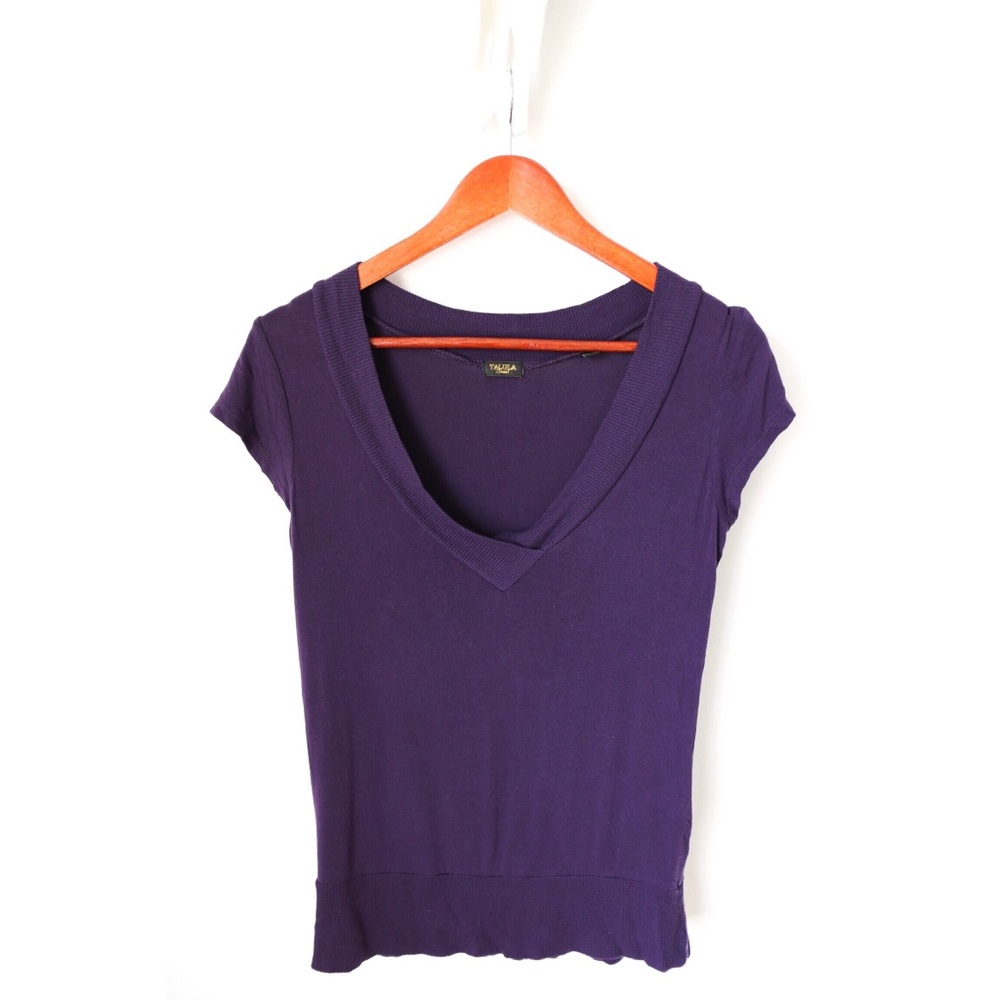 Aritzia Talula Plum Purple V-Neck T-shirt